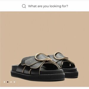 Farm Rio Daisy Black Slide Sandals, NIB 7 1/2